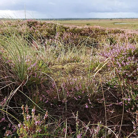 Cozy House In - By Traum Semesterbostad Vejers Strand