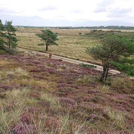 Cozy House In - By Traum *