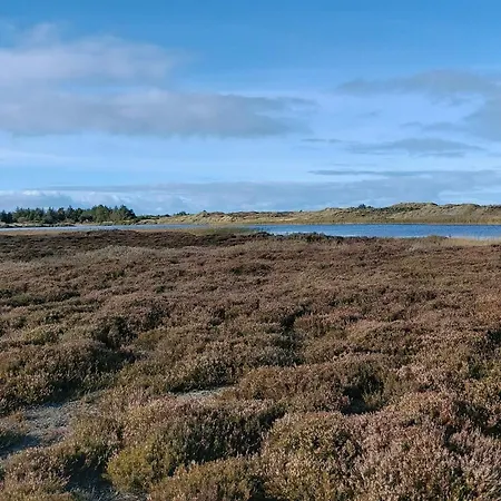 Nyaraló Cozy House In - By Traum Vejers Strand